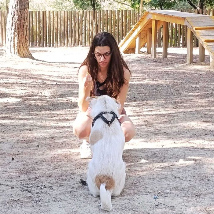 PET SITTER/WALKER em Lisboa: Cuidado Gentil e Focado no Bem-Estar