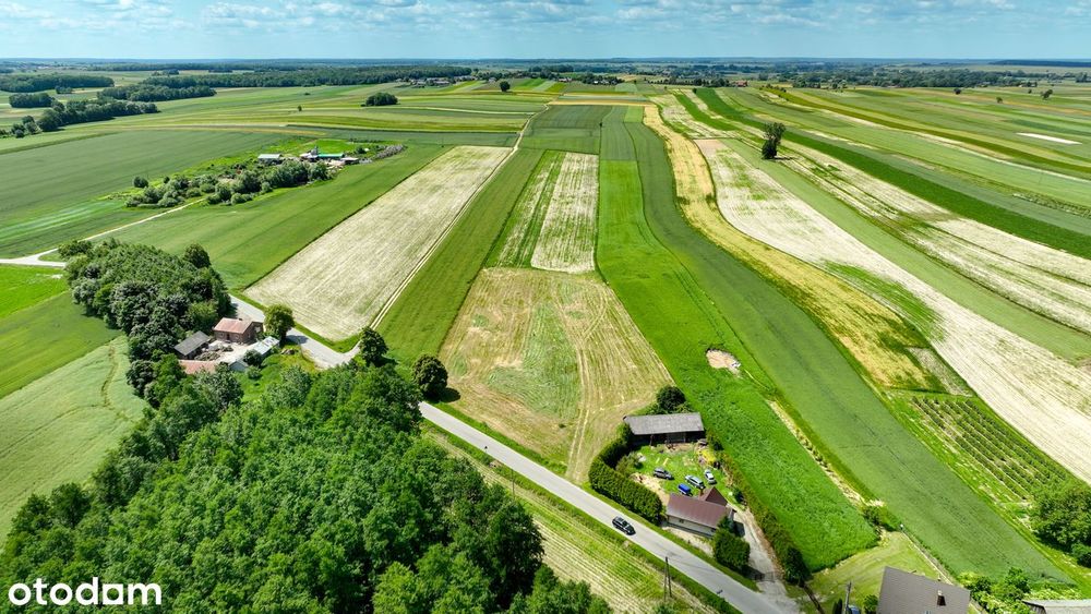 Bezpośrednio, MPZP, cisza, las– idealne pod Twój wymarzony dom => FILM