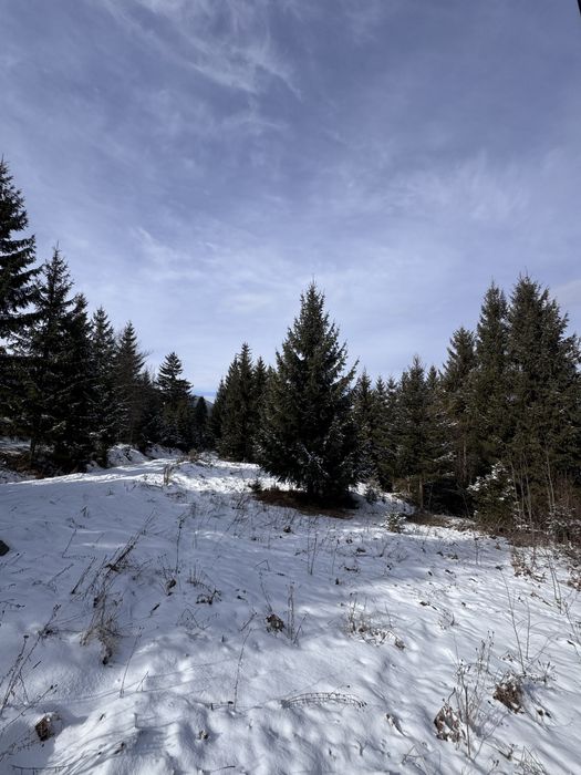 Продам ділянку в Карпатах з доїздом легковим авто с. Ільці