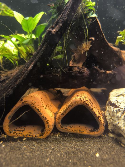 Akwarium 112l Aquael +akcesoria