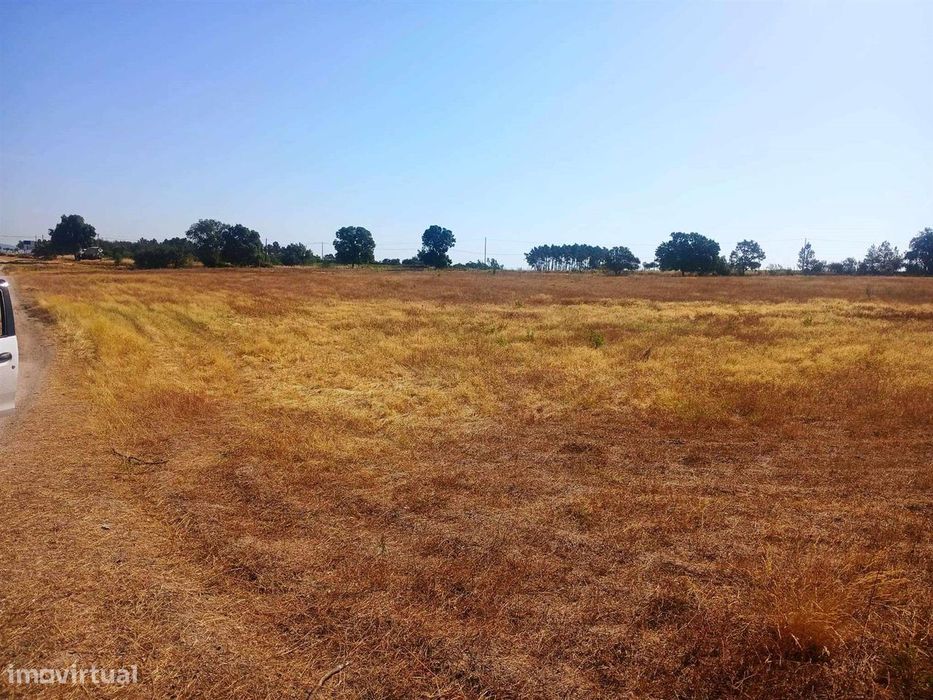 Plot of Land