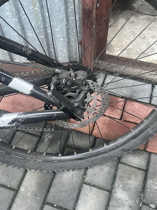 Rower kellys whip 50