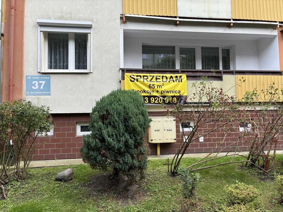 Sprzedam mieszkanie 3 pokojowe na parterze z balkonem i piwnicą - 65,20m Ustka Sprzymierzeńców 37/10