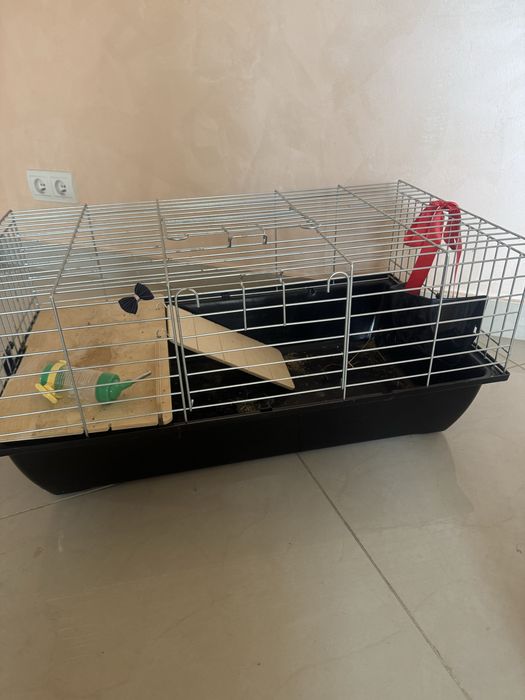 Klatka dla królika  świnki morskiej