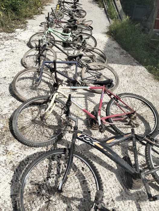 Lote de 14 bicicleta