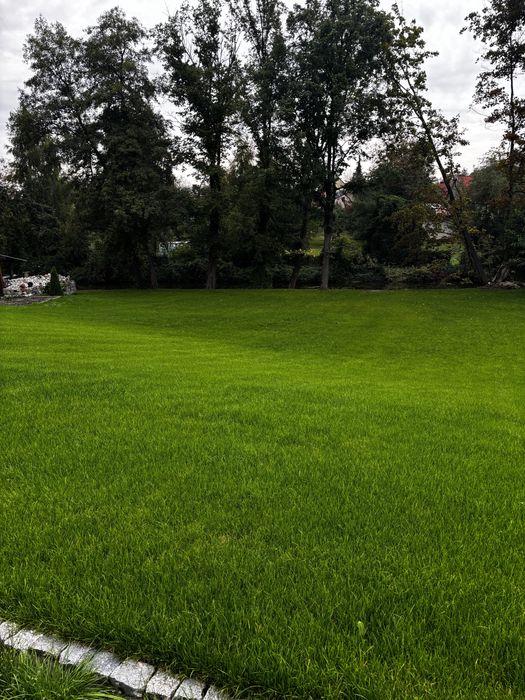 Ziemia ogrodowa pod trawnik