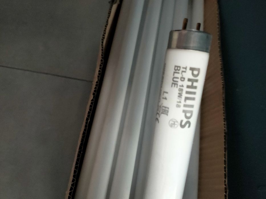 Świetlówka liniowa 60 cm Philips Blue TL-D 18W
