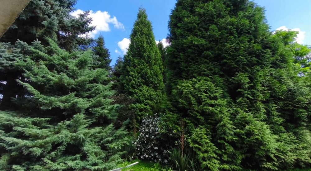 Dom Siedlisko Szebnie