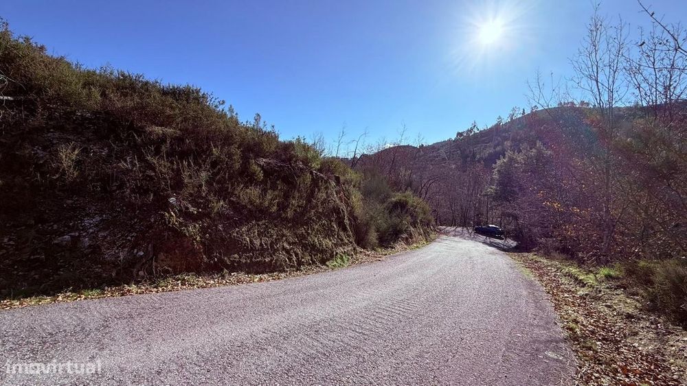 Terreno em Veade, Gagos e Molares
