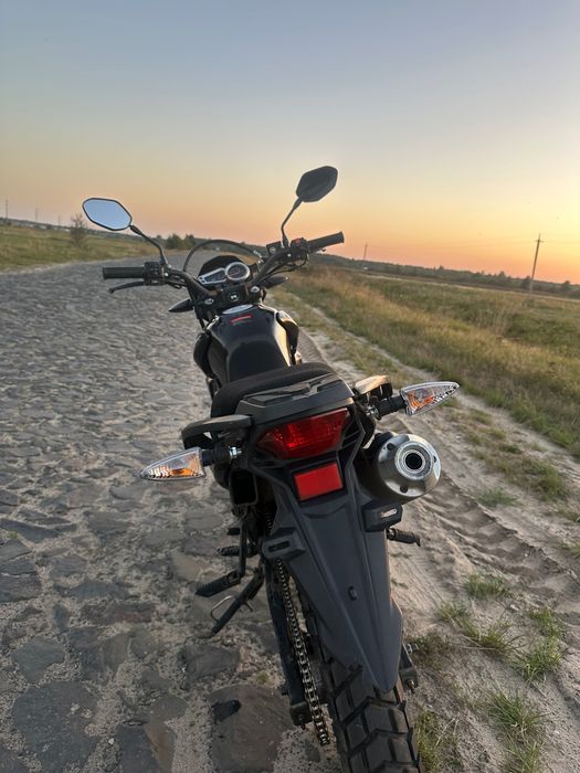 Продам Лонкін прус 200