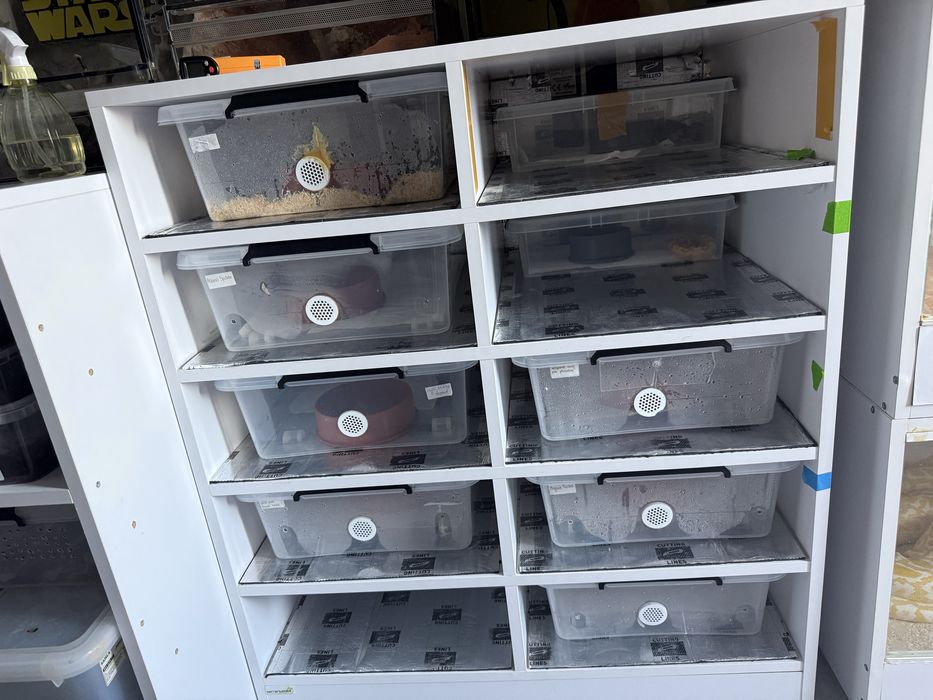 Rack system TERRARIA24 na 10 pojemnikow