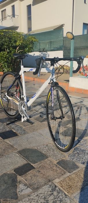 Berg estrada Fuego 7.5 tamanho 54