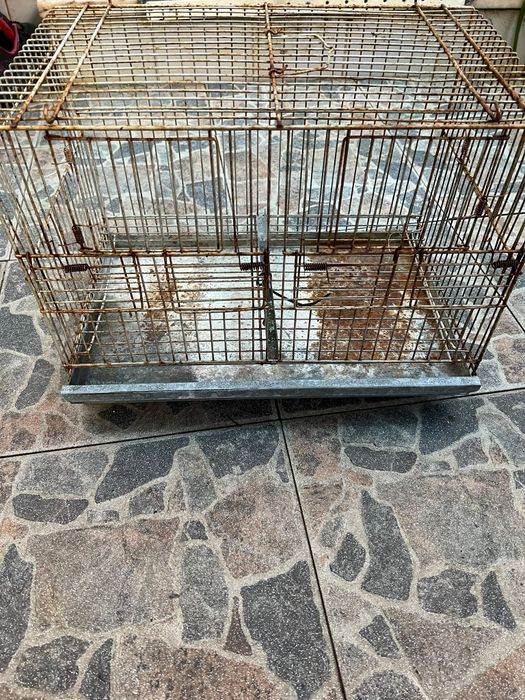 Vendo gaiolas para aves