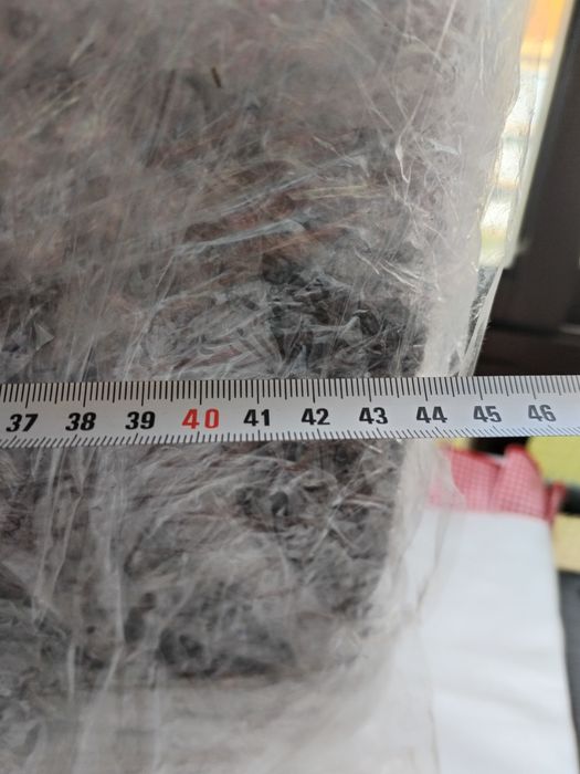 Televisão como nova