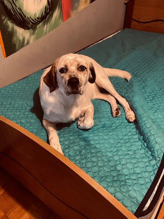 Mama e bebe para adopção responsável