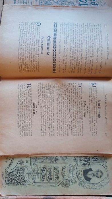 Encyclopedia das Famílias de Manuel Lucas Torres