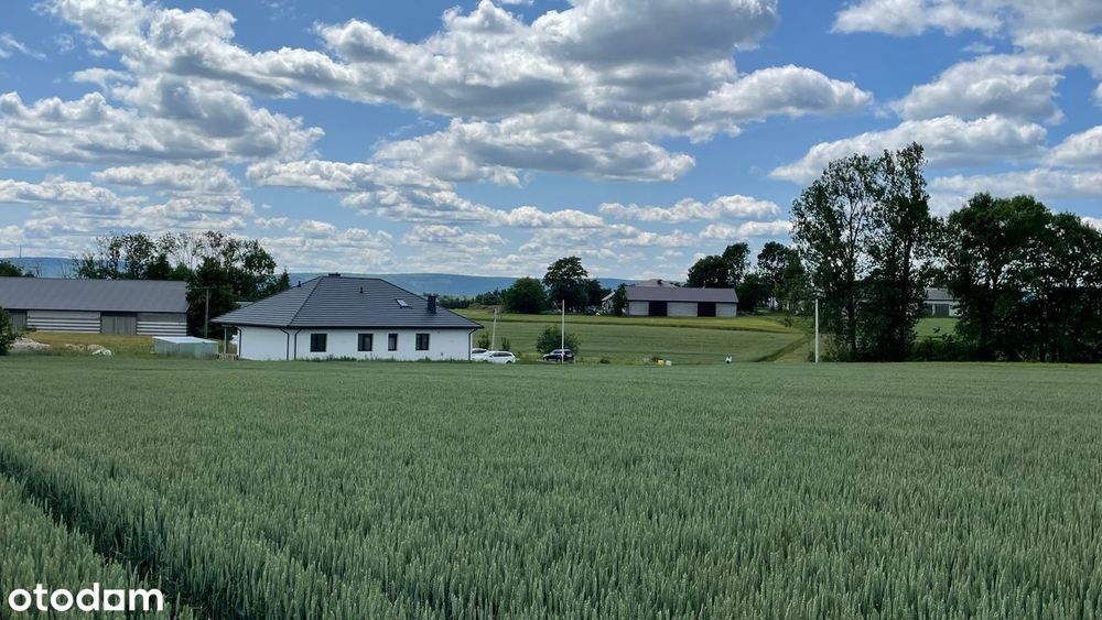 Działka rolno-budowlana z mediami Góry Świętokrzyskie gm. Pawłów - Widok 4