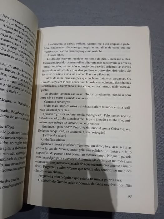 Os Druídas • Morgan Llywelyn