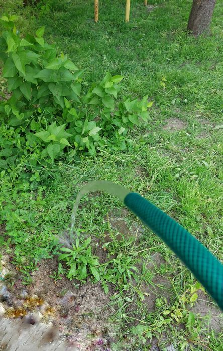 Натуральна жива вода з-під свердловини. Питна та корисна вода