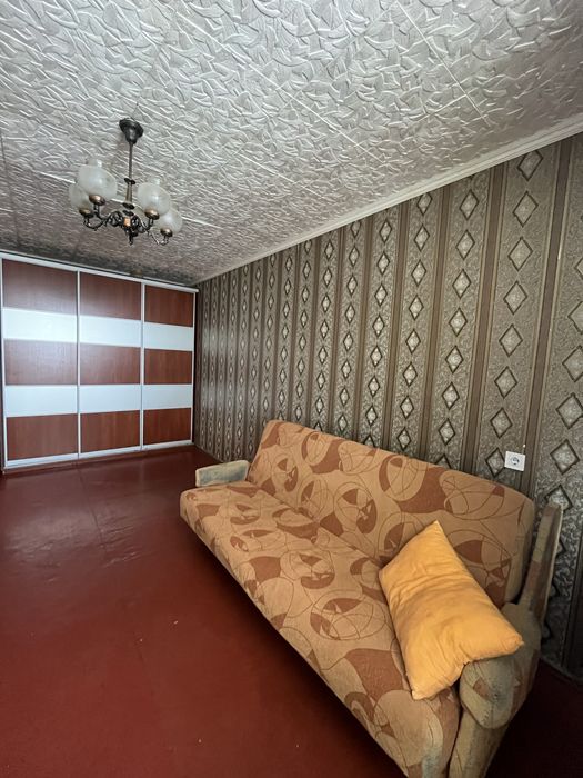 Можна з тваринами!однокімнатна р-н Мир