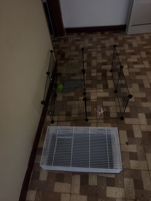 Gaiolas para hamster, porquinhos da india e coelhos