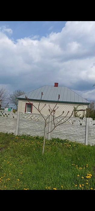 Кровельні роботи, ремонт даху, криши криші