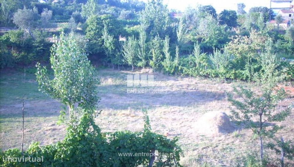 Venda Terreno, Cinfães — Marco, Porto