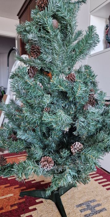 Pinheiro de natal novo.