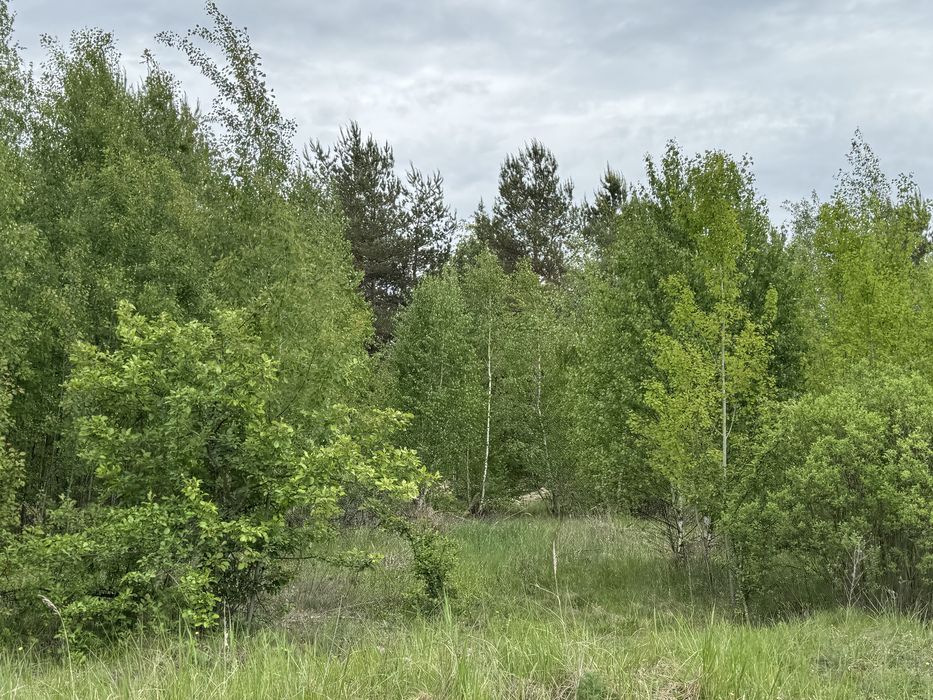 Земельна ділянка 1,5 га!!! Пилиповичі