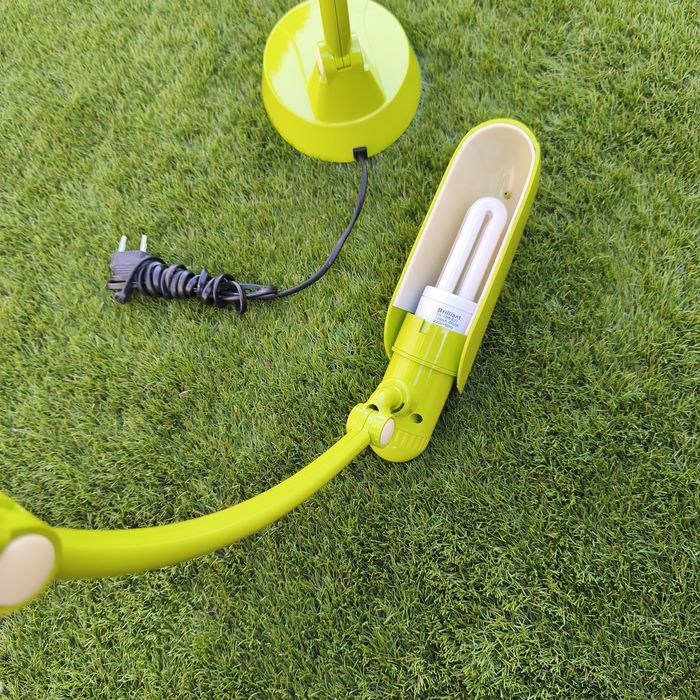 Green Desk Lamp with Bedside Function and Bulb434511542632458243