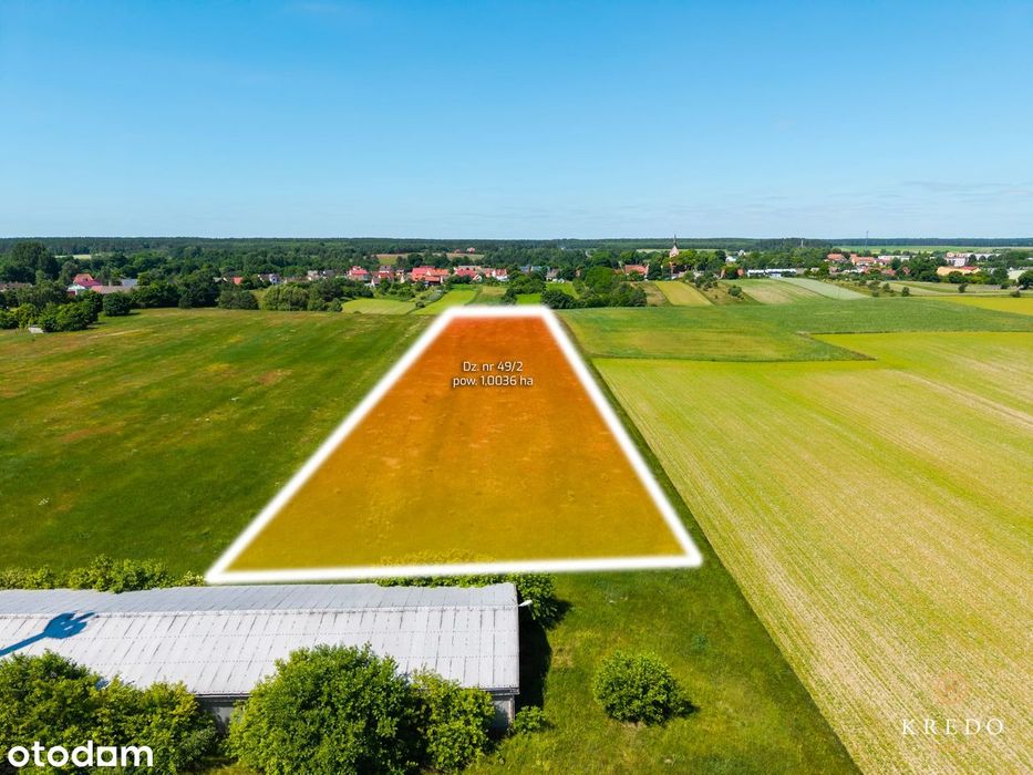 Działka budowlana 1,0036 ha | WZ | Duży potencjał inwest. | Koczała