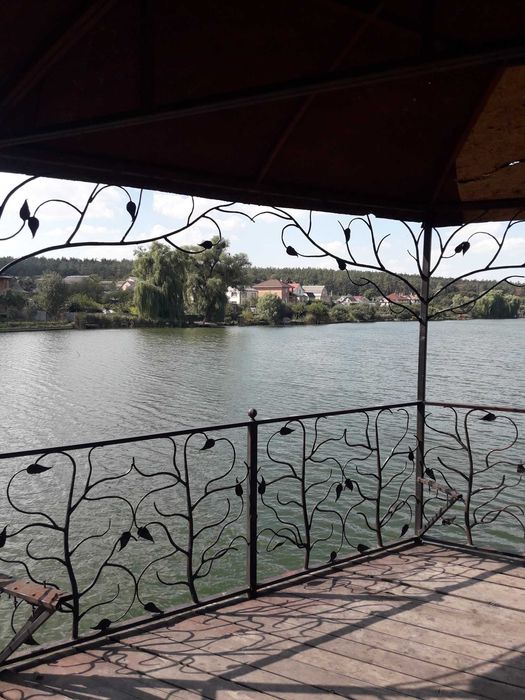 Терміновий продаж. Віта поштова, вул .Берегова, від 20 соток до 1 га.