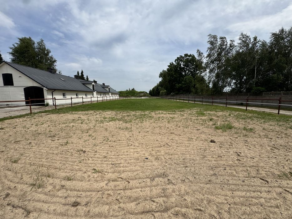 Do wynajęcia stajnia 6 boksów 3.5 ha wybieg