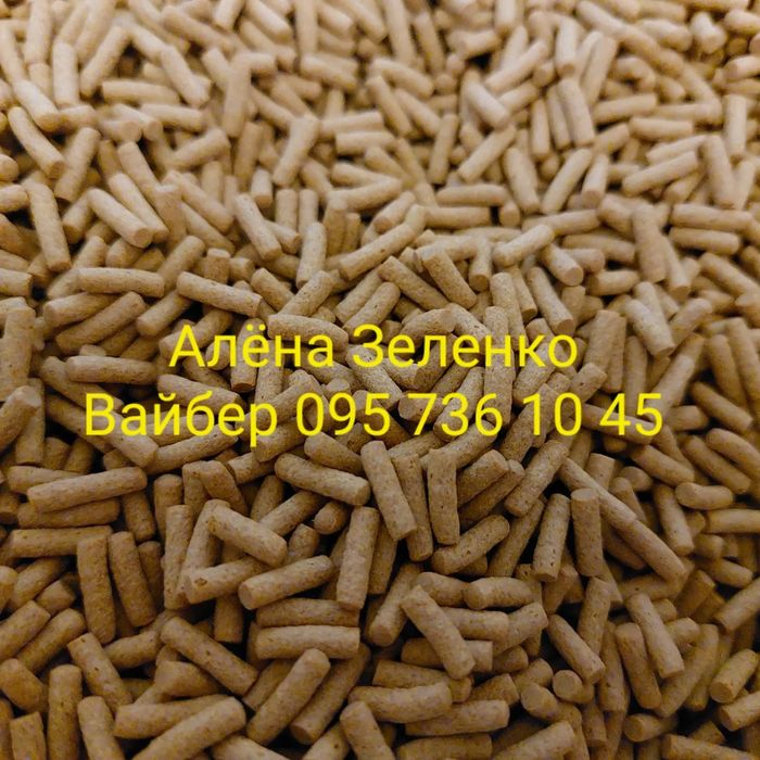 Тетра Цихлід, Золота рибка для Черепах, Кої, Цихлід