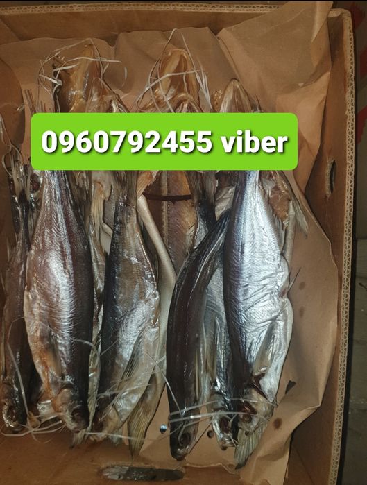 Чехонь крупна з ікрою.малосольна жирна Тарань