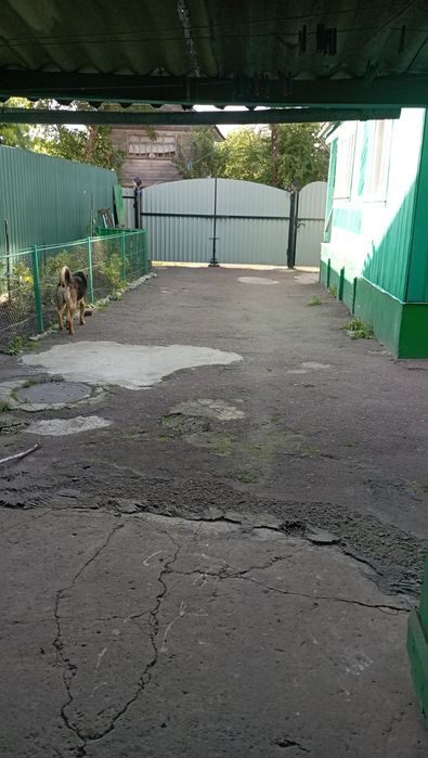 Продам добротну  садибу