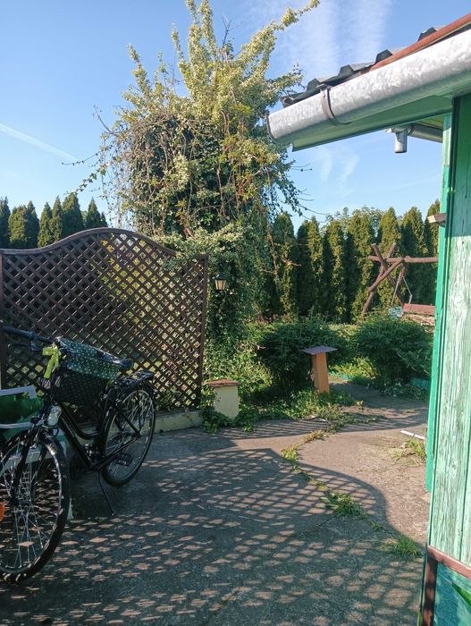 Działka ROD Tulipan Biała Podlaska - Widok 5