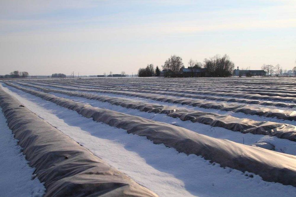 POLSKA MOCNA Agrowłóknina 4,75 x 100 włóknina P23 różne szerokości