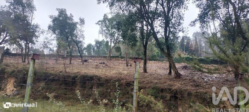 Terreno em Fornelo e Vairão