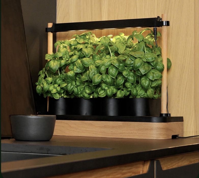 Skandynawki ogrod mini auk