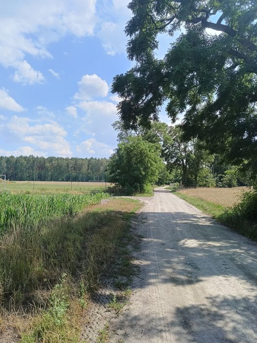 Działka budowlana 1500m² w Kłodzisku blisko lasu