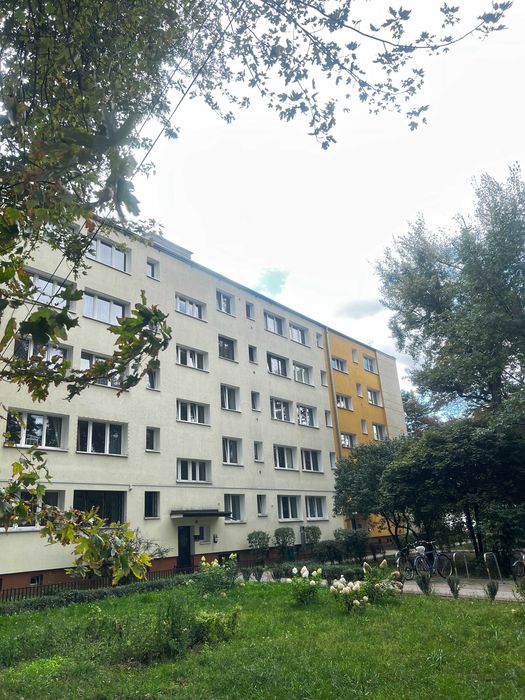 Zdjęcie 8