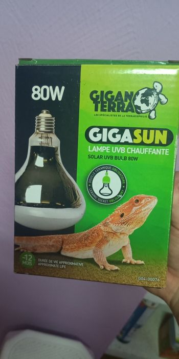 Equipamento para terrário