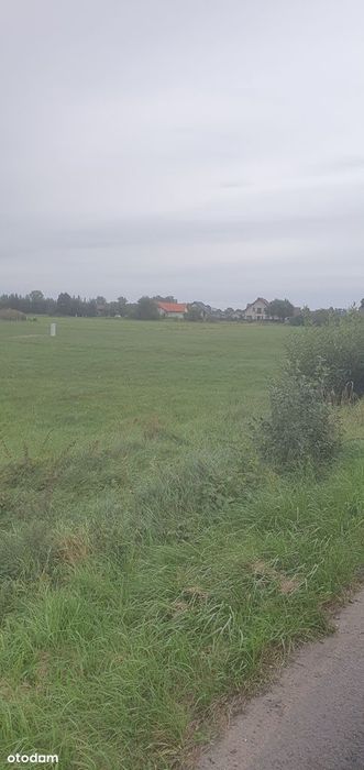 Działka, Ługi Ujskie