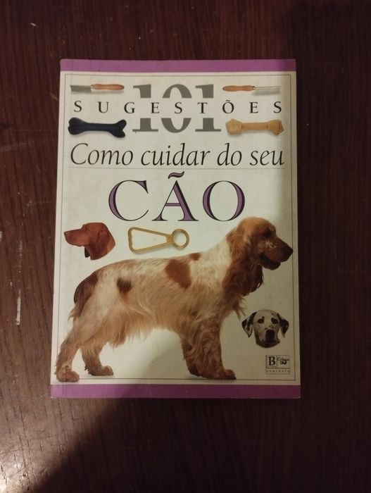 Como cuidar do seu cão