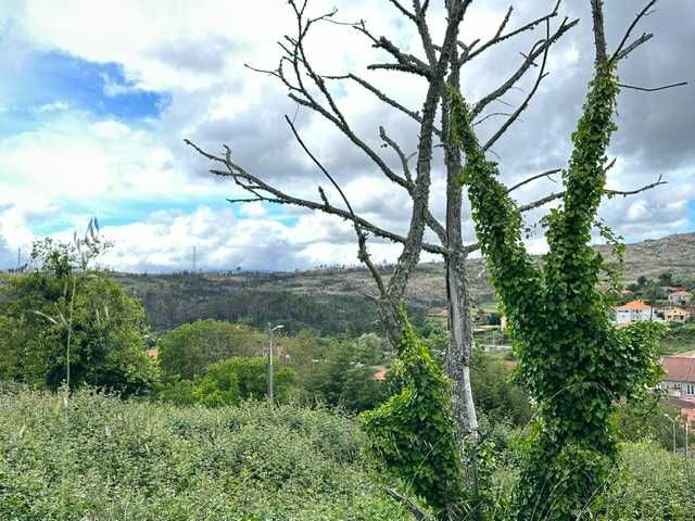Moradia senhorial para reabilitação, com arquitectura centenária e vistas panorâmicas sobre a serra e os campos