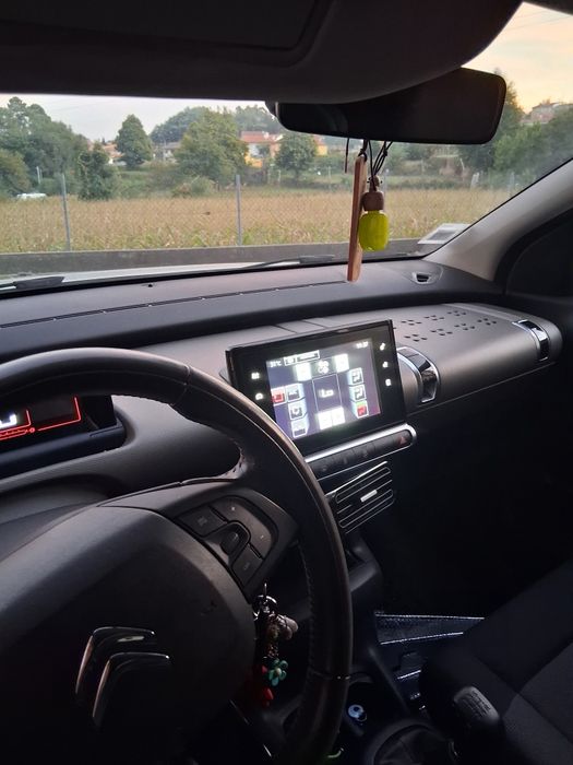 Citroën C4 Catus