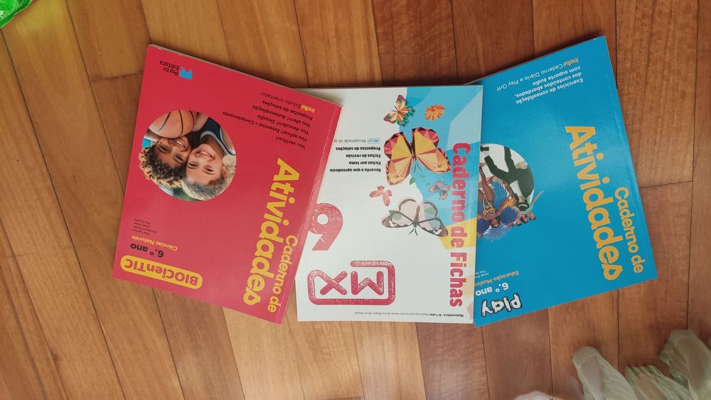 Cadernos de atividade (fichas) para 6 ano