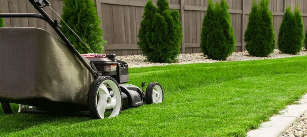 Комплексний догляд за ділянкою, садом, газоном та рослинами