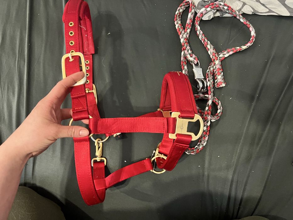 Kantar dla konia czerwony  nowy